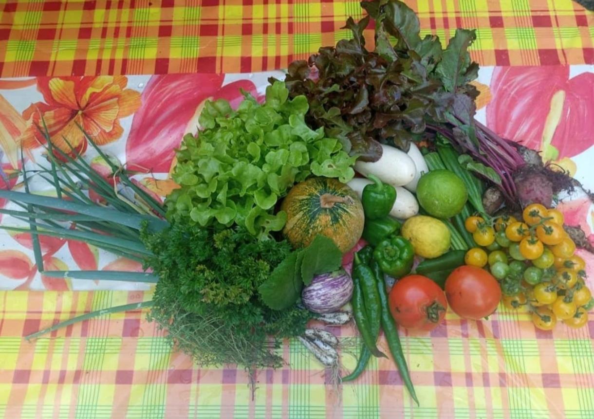 Camping A La Ferme Gros-Morne Bagian luar foto