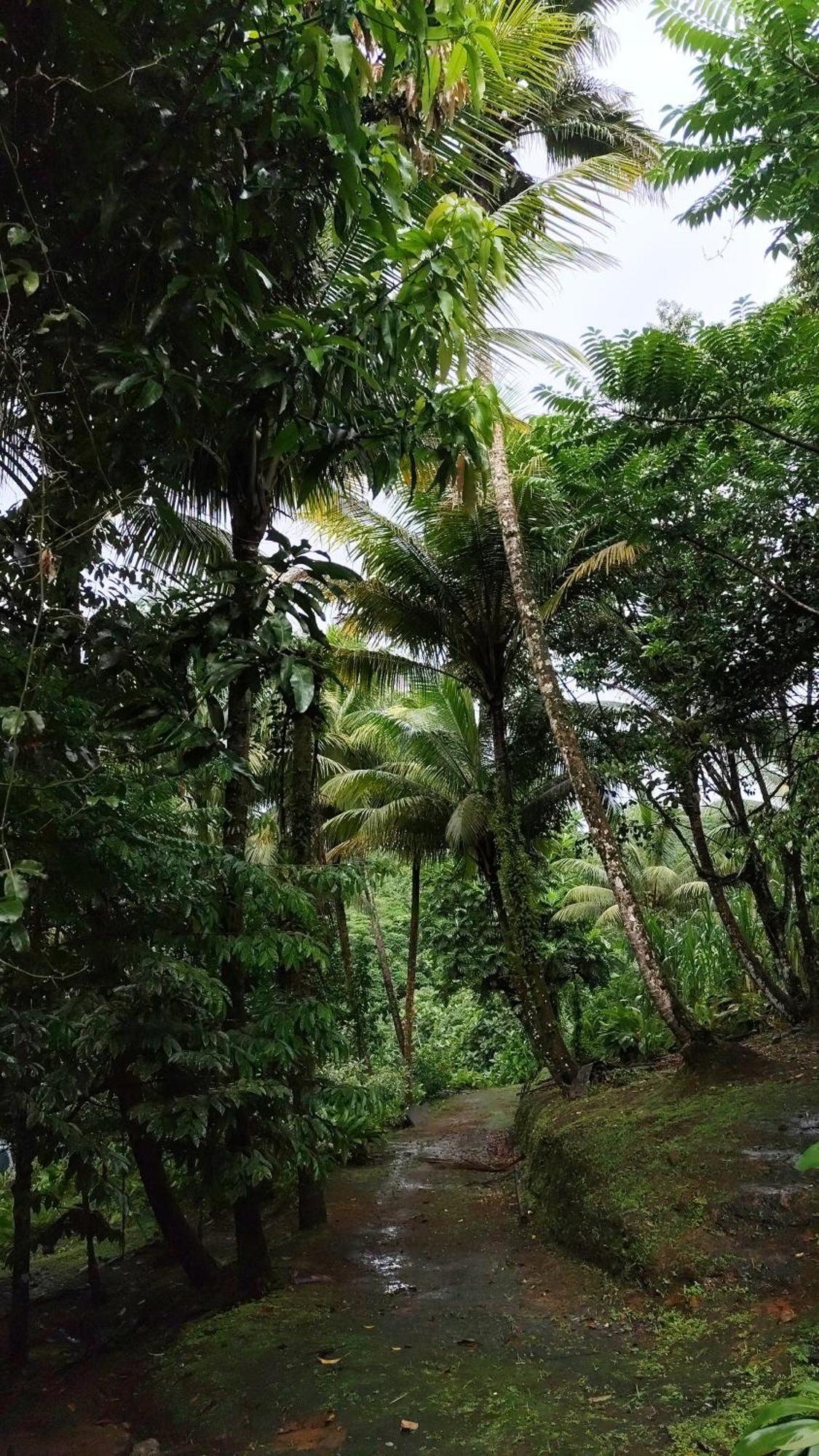Camping A La Ferme Gros-Morne Bagian luar foto