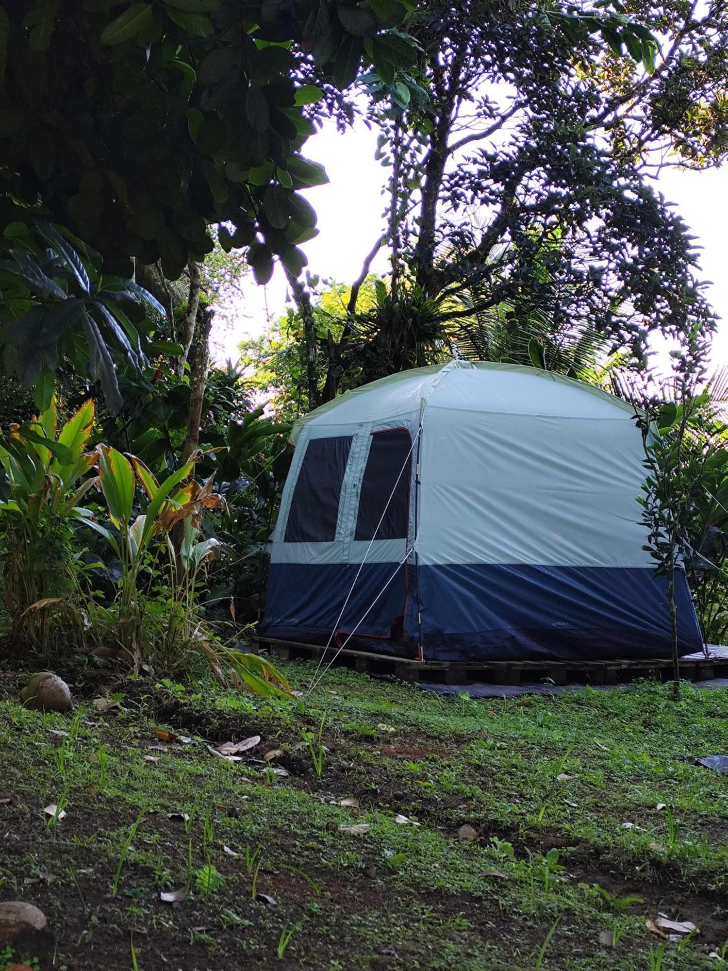 Camping A La Ferme Gros-Morne Bagian luar foto