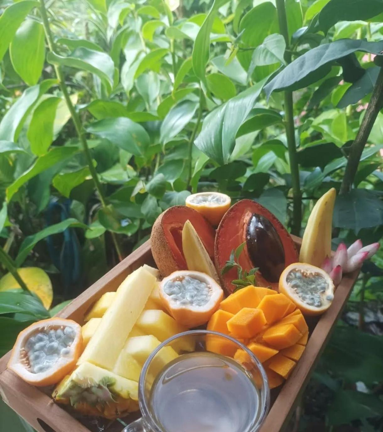 Camping A La Ferme Gros-Morne Bagian luar foto